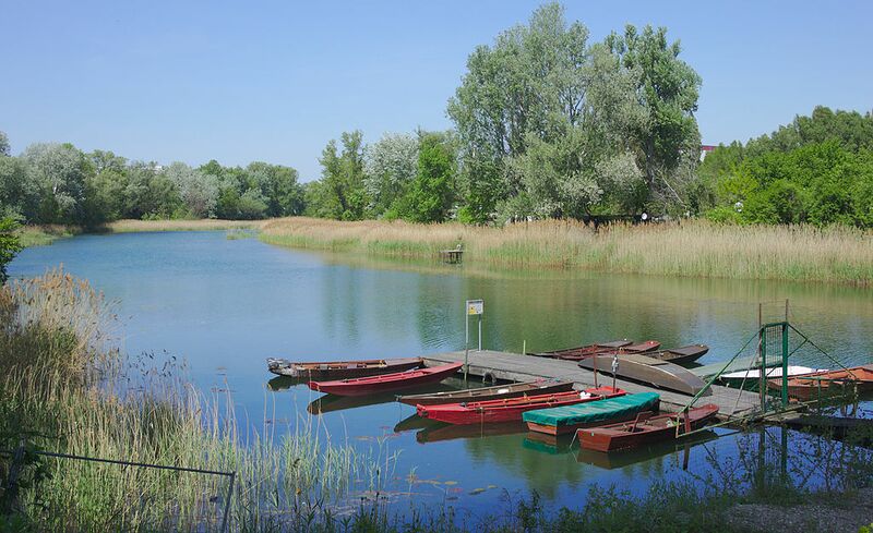 Datei:22 Oberes Mühlwasser.jpg