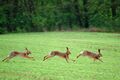 Vorschaubild der Version vom 19. September 2016, 13:33 Uhr