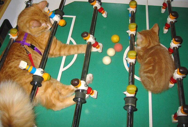 Datei:Katzen beim Tischfußball.jpg