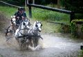 Vorschaubild der Version vom 27. Februar 2017, 10:23 Uhr