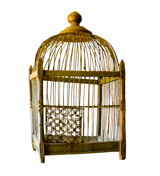 Datei:Vogelkäfig Gold.png