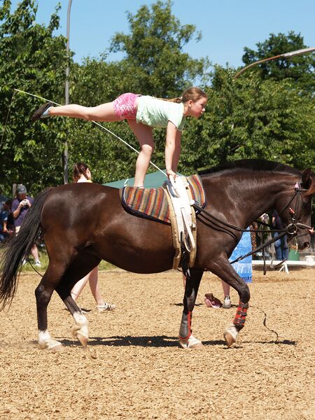 Datei:Voltigieren Ausrüstung.jpg