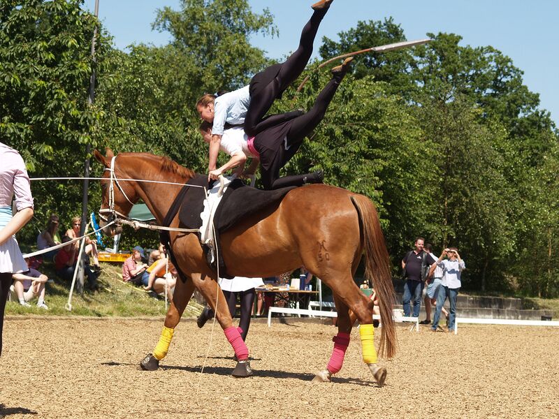 Datei:Voltigierübung Doppel.jpg